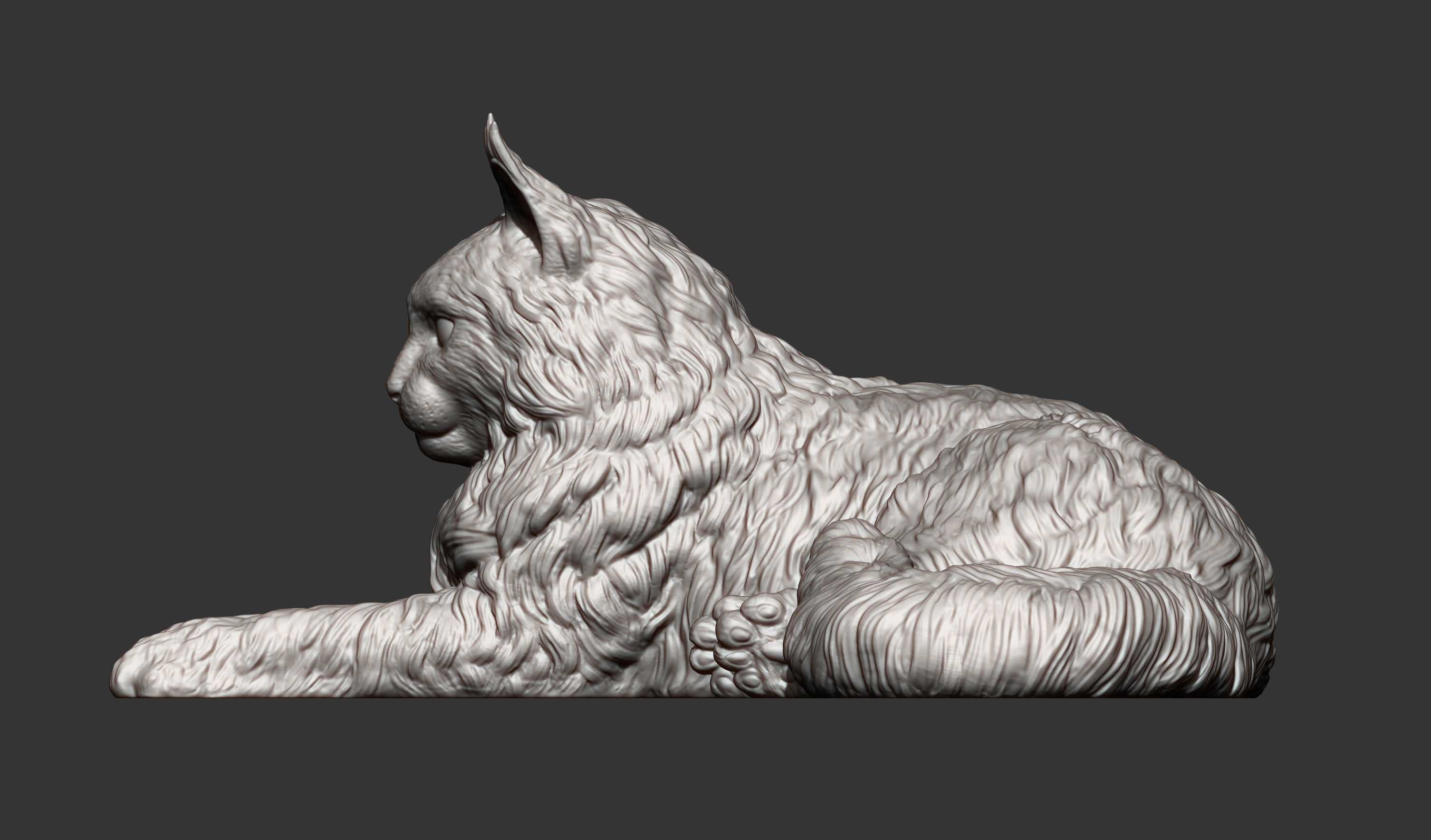 Maine Coon 3D print model_10