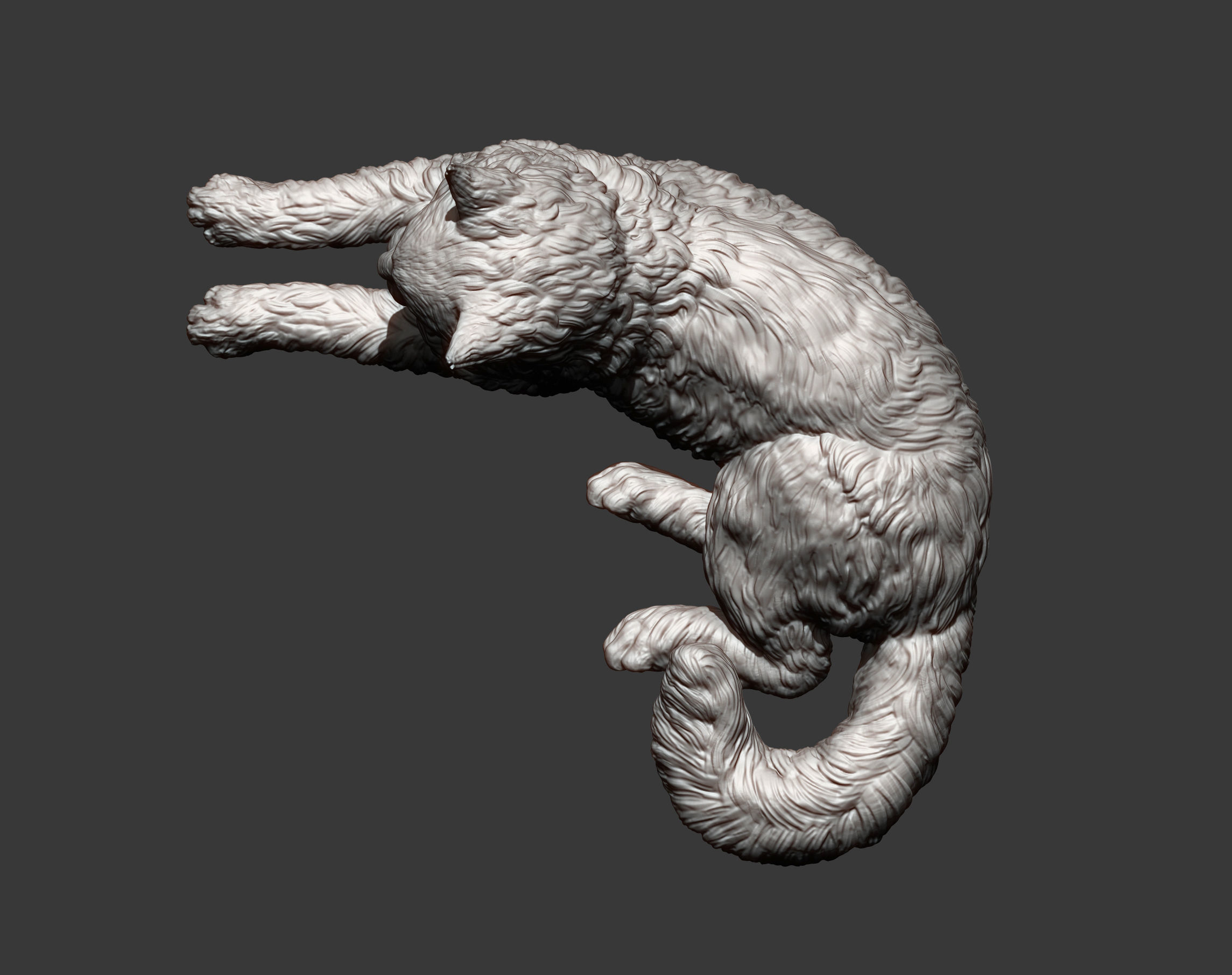Maine Coon 3D print model_14
