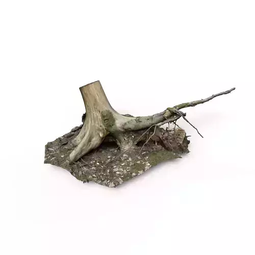 Forest Tree Stump 4K -Part 6- Free low-poly 3D model