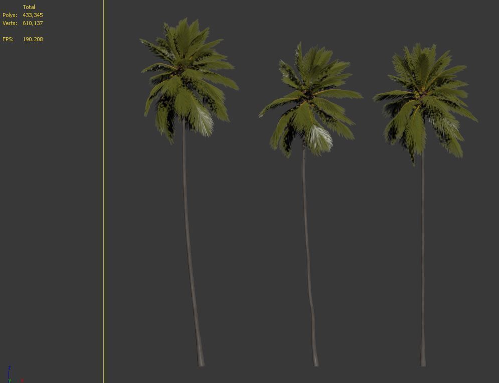 Coconut Palm 03 3D model_6