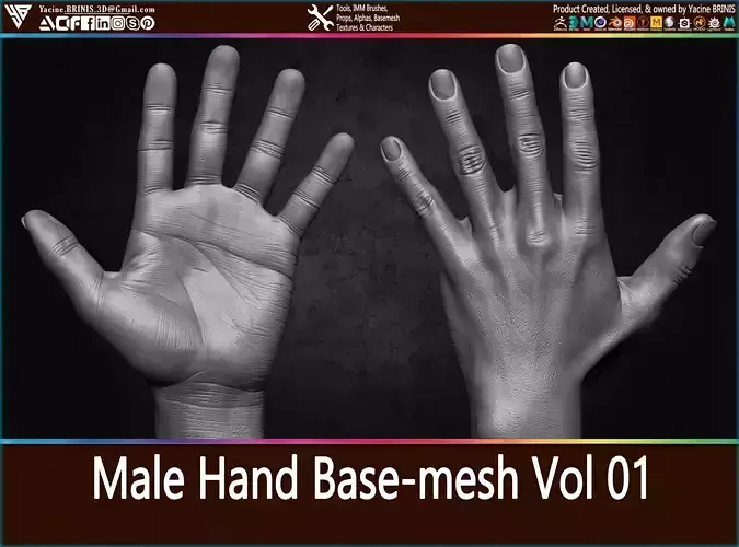 Male Hand Base-mesh Vol 01