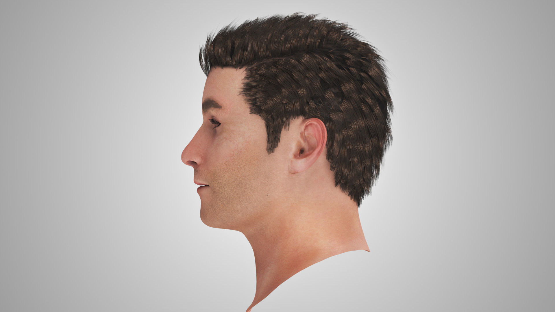 Detailed Head Anatomy with cross-section Low-poly 3D model_15