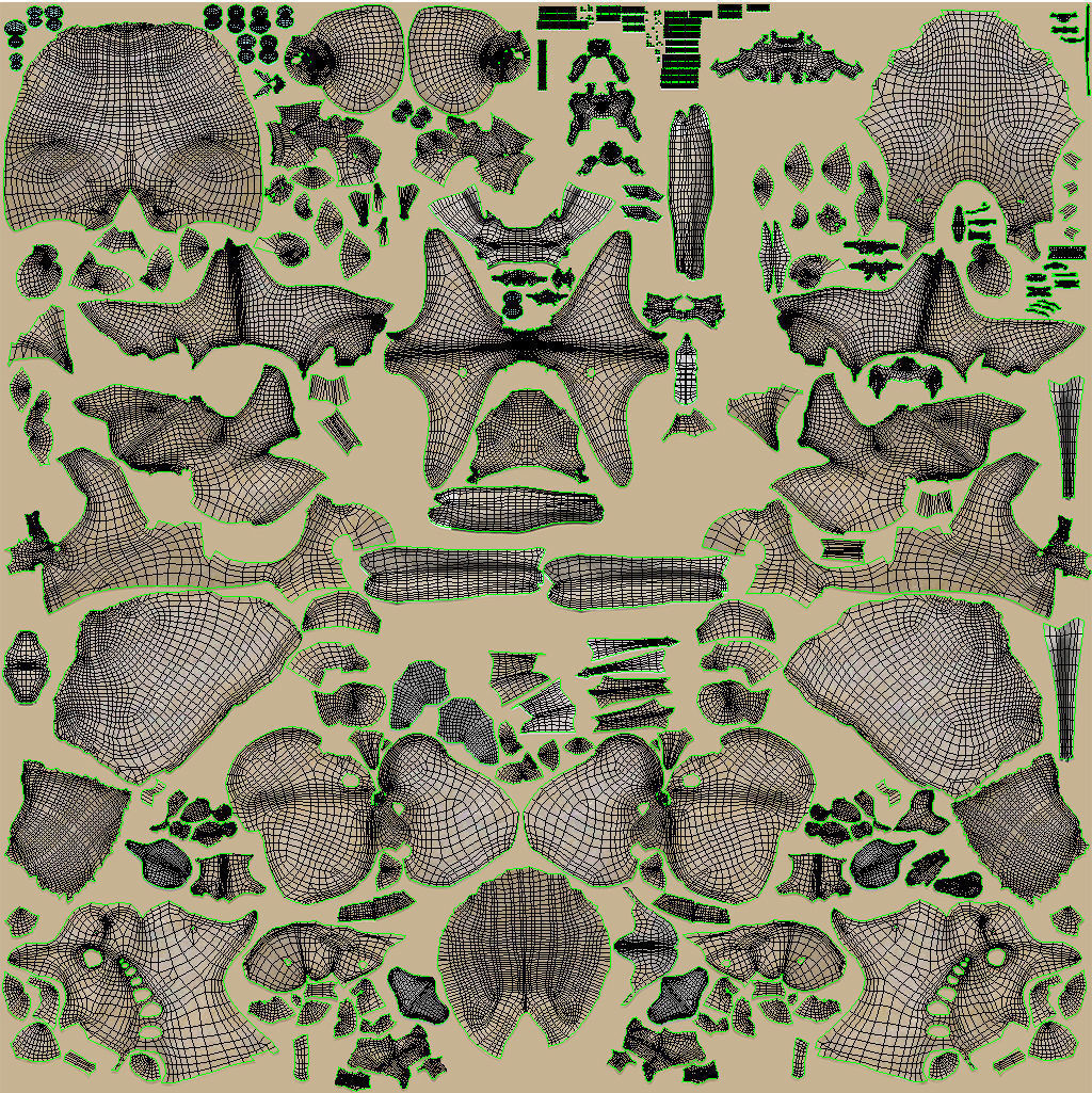 Detailed Head Anatomy with cross-section Low-poly 3D model_63