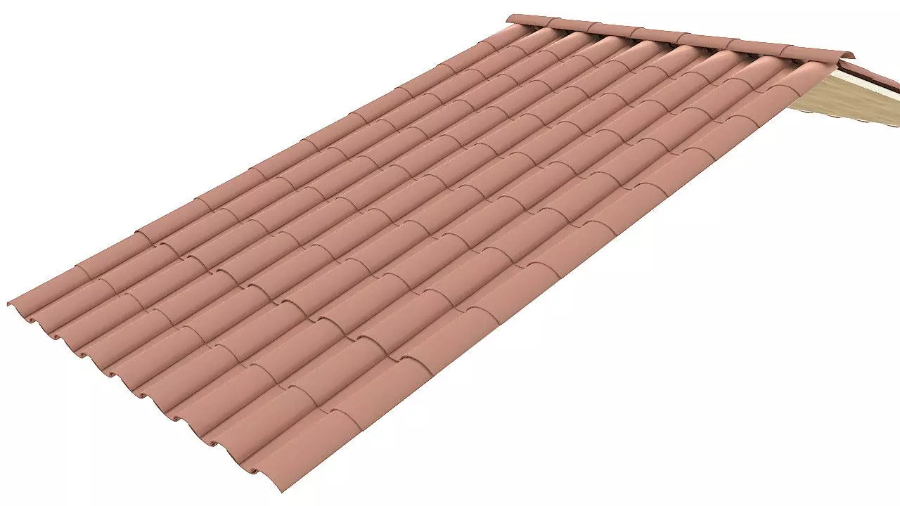 Clay roof tiles ceiling 3D model_0
