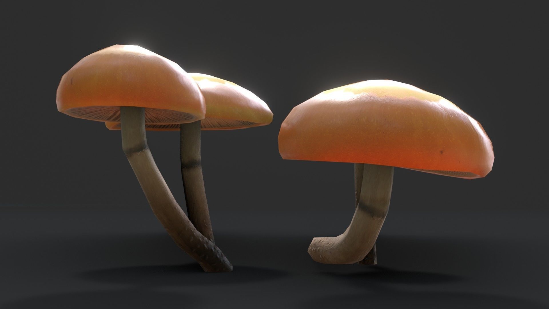 Sheathed Woodtuft Mushrooms Set Low-poly 3D model_4