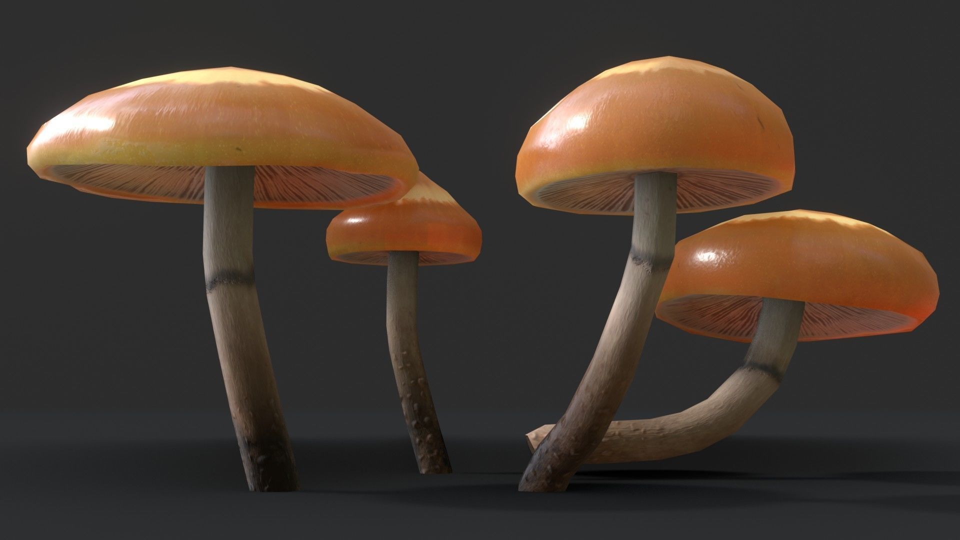 Sheathed Woodtuft Mushrooms Set Low-poly 3D model_5
