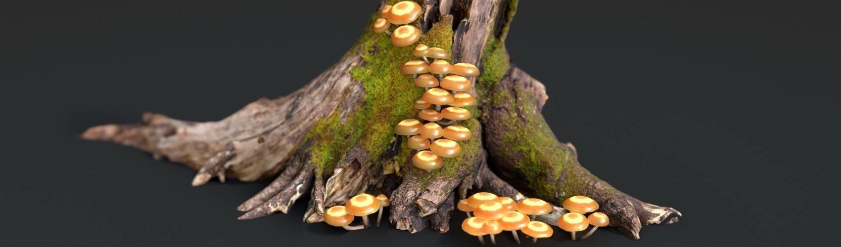 Sheathed Woodtuft Mushrooms Set Low-poly 3D model_1