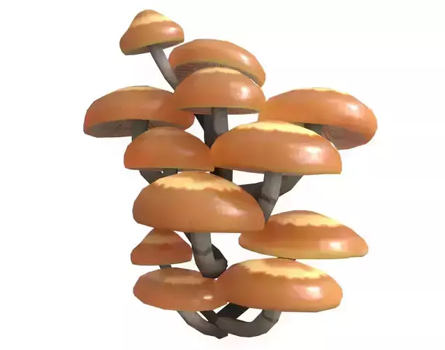 Sheathed Woodtuft Mushrooms Set Low-poly 3D model