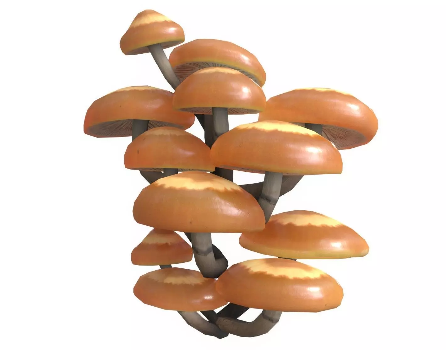 Sheathed Woodtuft Mushrooms Set Low-poly 3D model_0