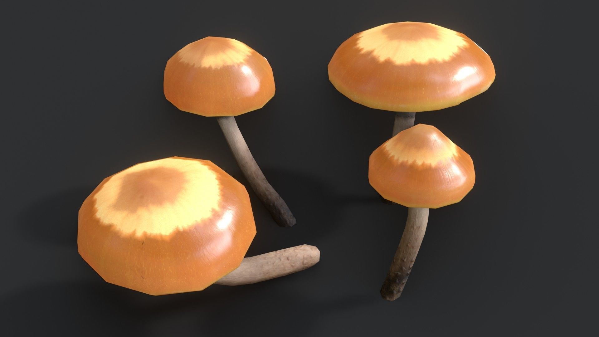 Sheathed Woodtuft Mushrooms Set Low-poly 3D model_3