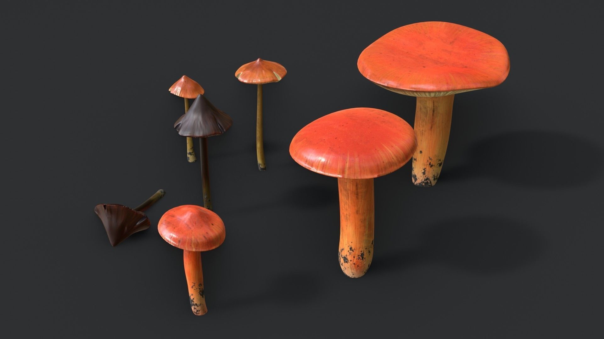 Crimson Waxcap and Witch Hat Mushrooms Set Low-poly 3D model_6