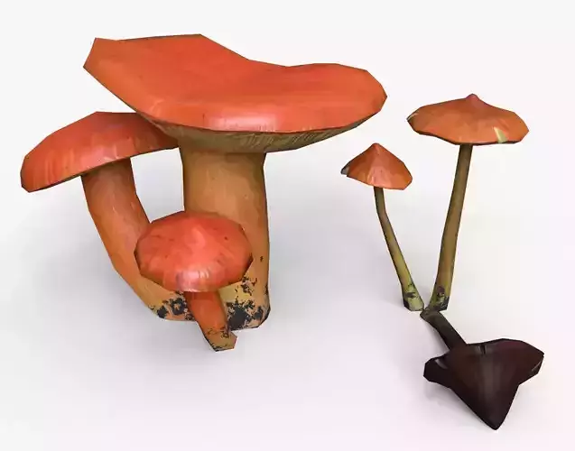 Crimson Waxcap and Witch Hat Mushrooms Set Low-poly 3D model