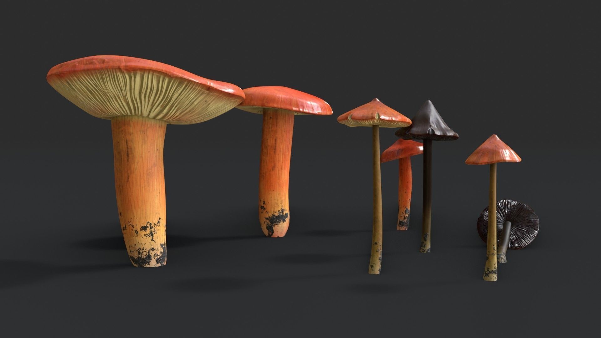 Crimson Waxcap and Witch Hat Mushrooms Set Low-poly 3D model_3