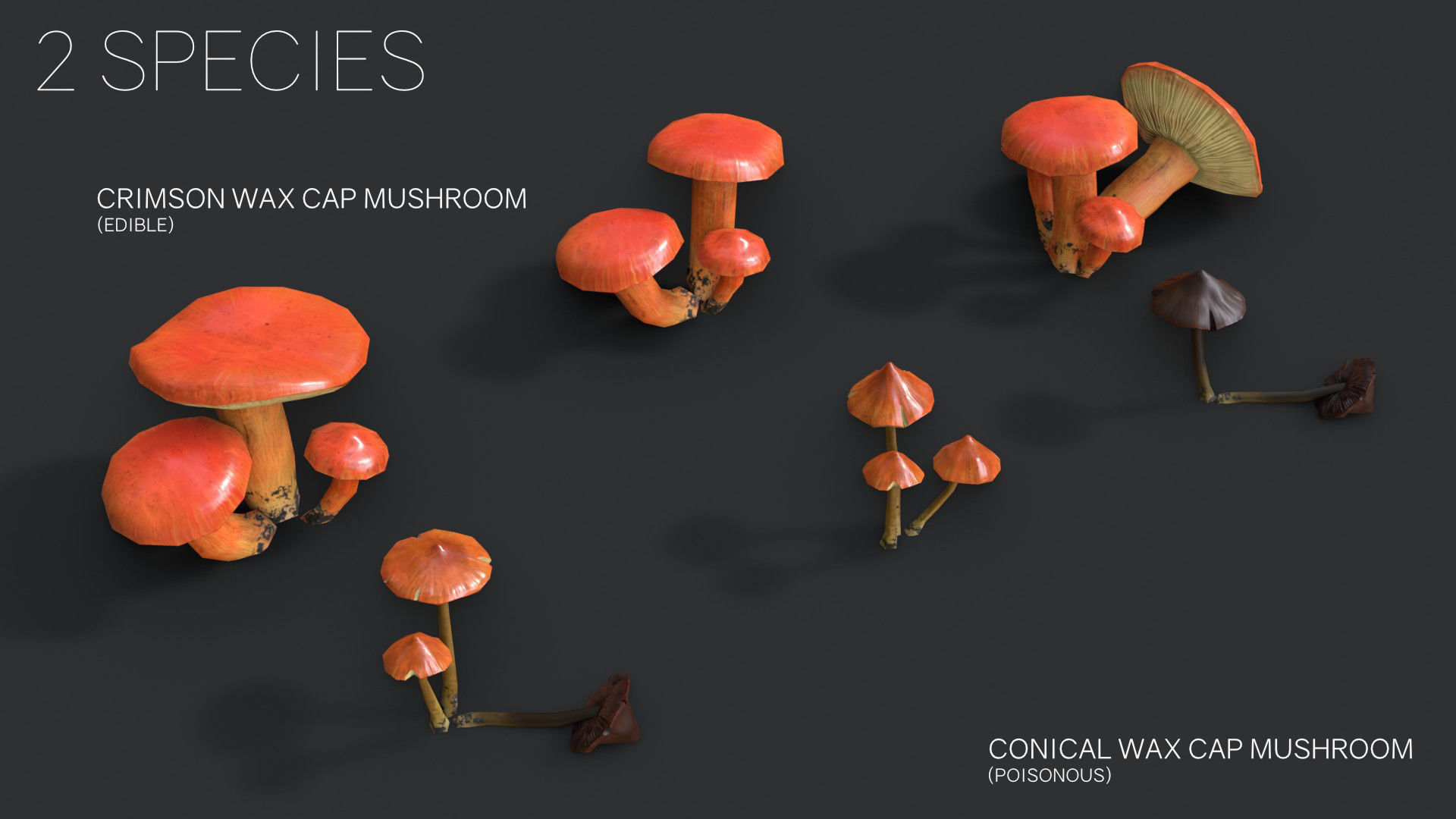 Crimson Waxcap and Witch Hat Mushrooms Set Low-poly 3D model_9