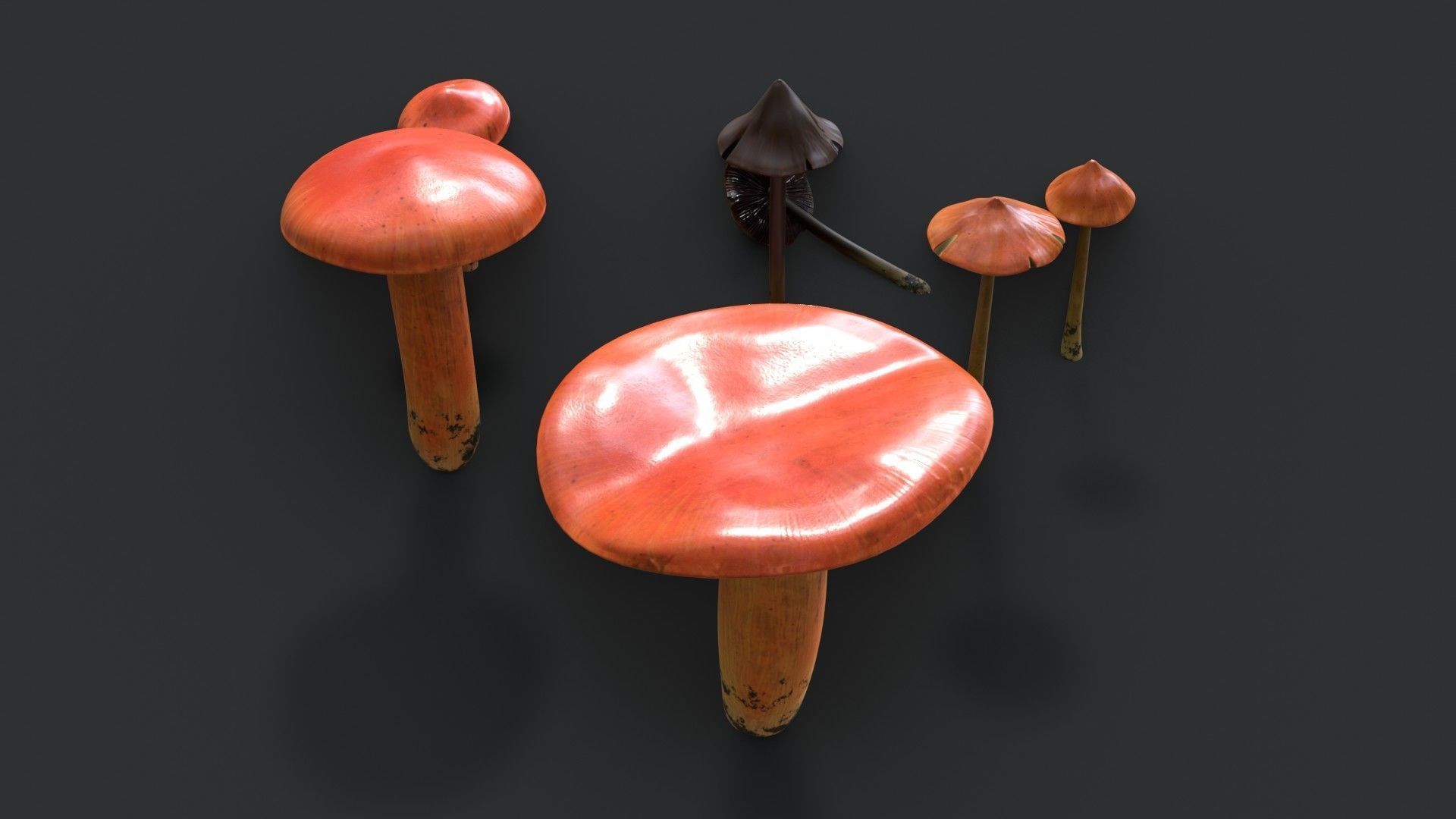 Crimson Waxcap and Witch Hat Mushrooms Set Low-poly 3D model_4