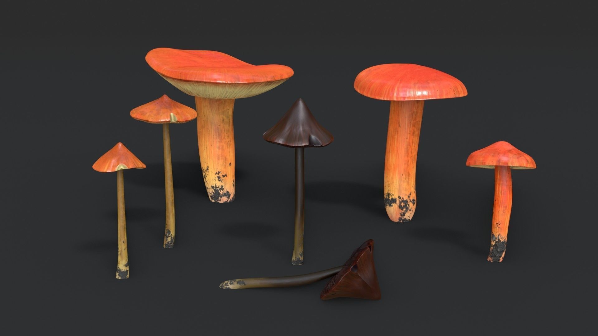 Crimson Waxcap and Witch Hat Mushrooms Set Low-poly 3D model_2