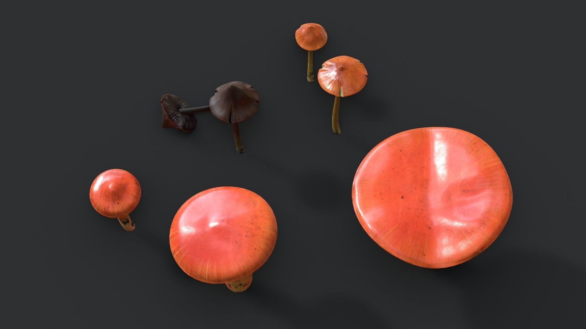 Crimson Waxcap and Witch Hat Mushrooms Set Low-poly 3D model_5