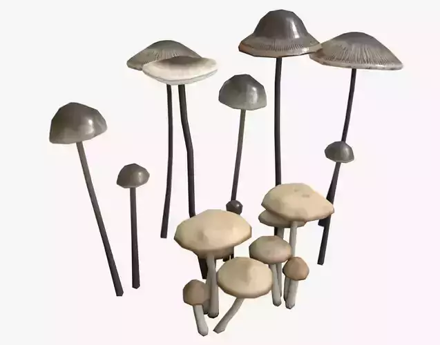 Fairy Ring and Garlic Parachute Mushrooms Low-poly 3D model