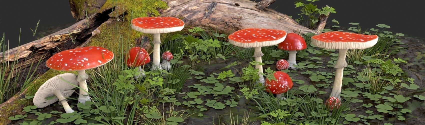 Fly Amanita Set Low-poly 3D model_1