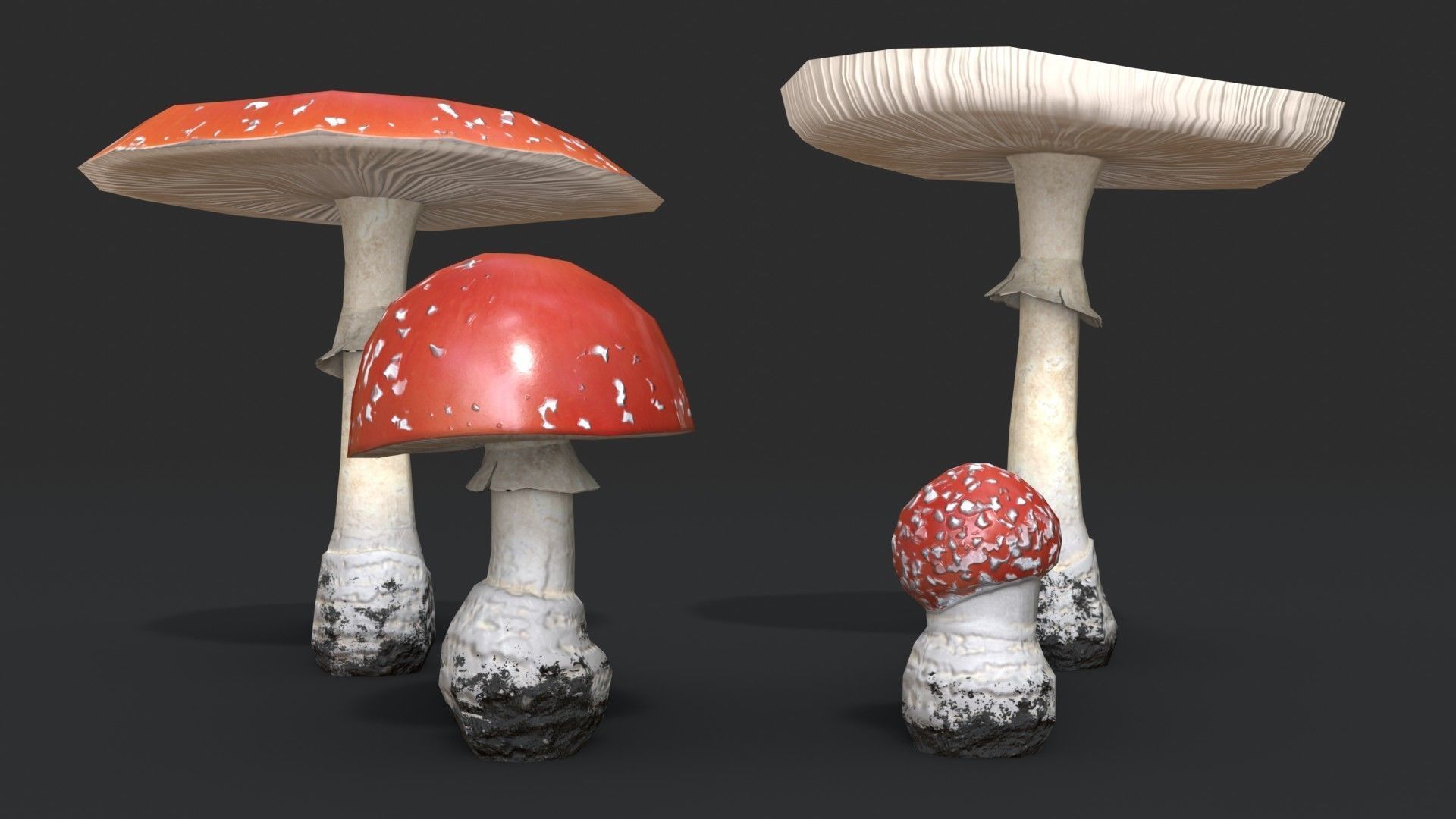 Fly Amanita Set Low-poly 3D model_8