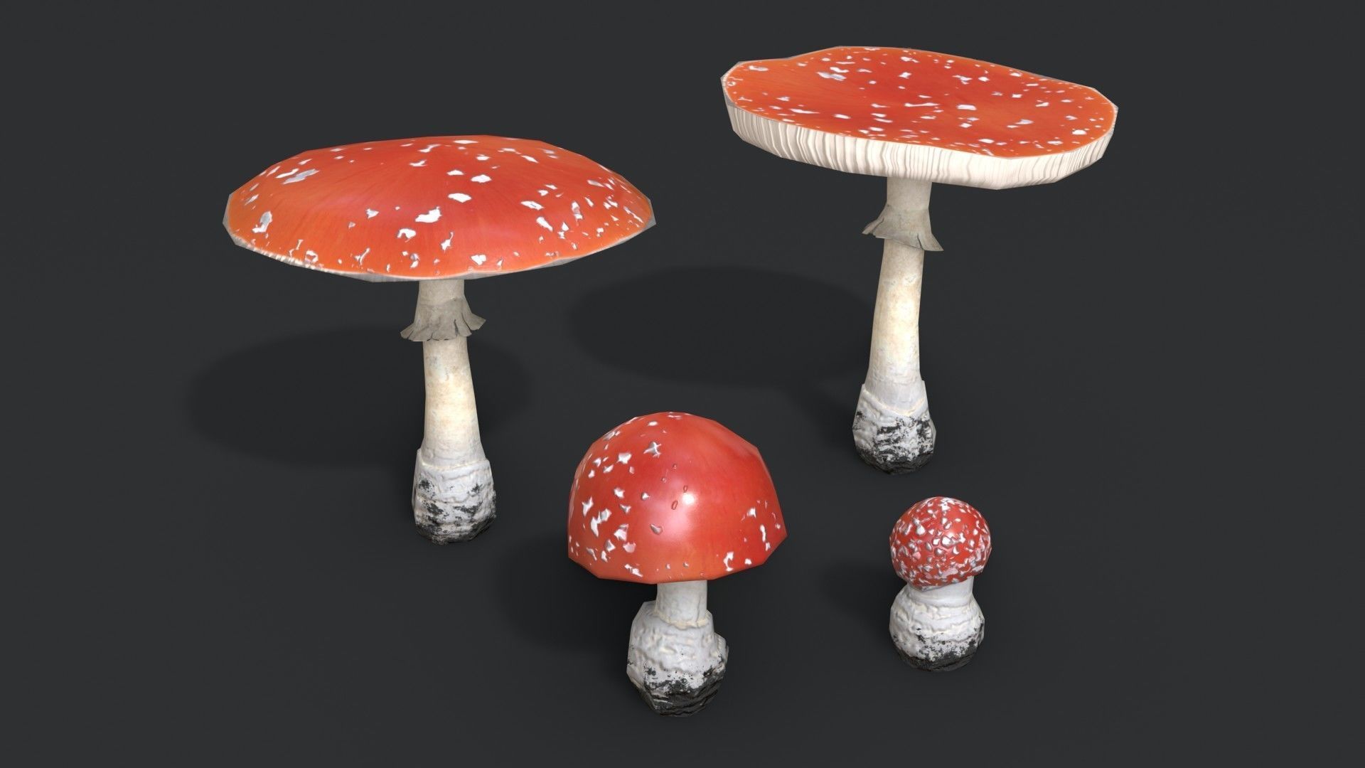 Fly Amanita Set Low-poly 3D model_3