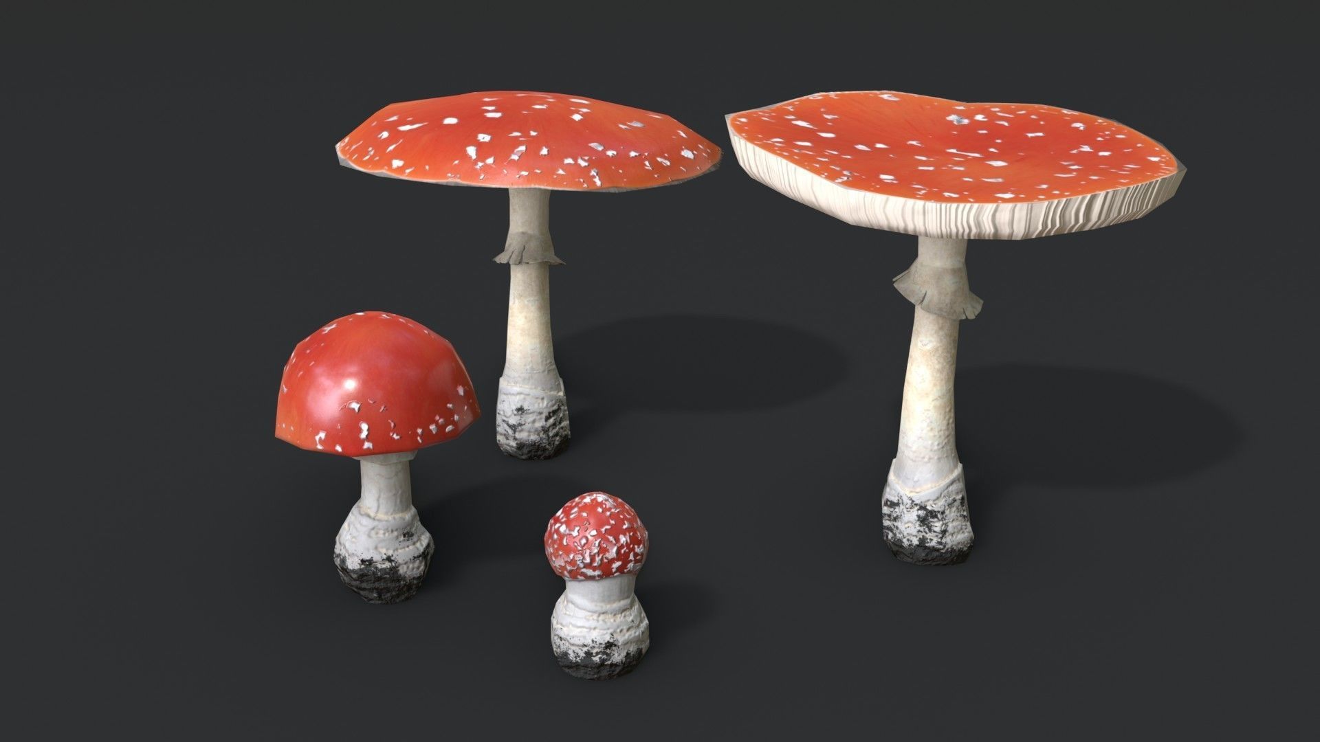 Fly Amanita Set Low-poly 3D model_4