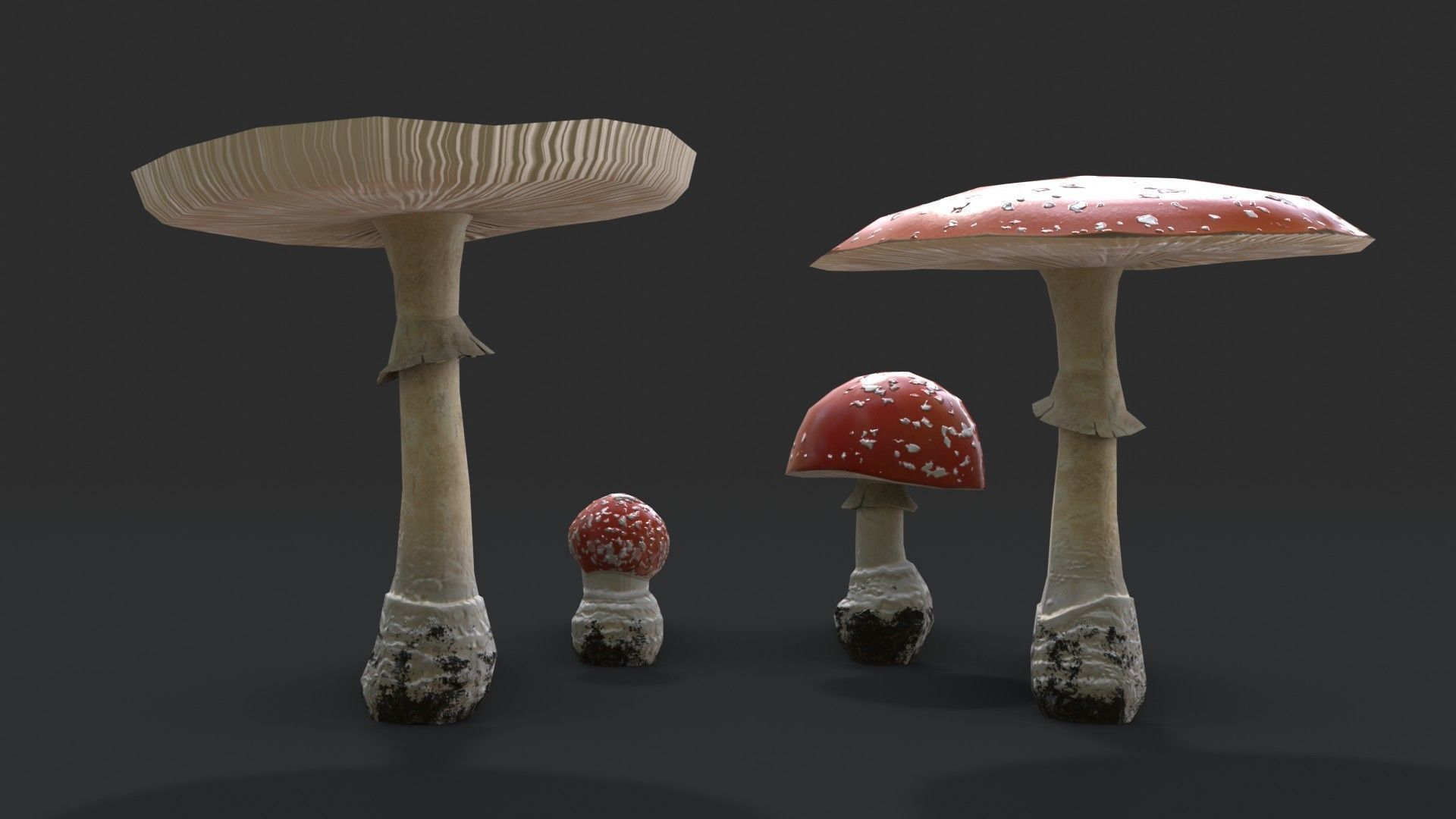Fly Amanita Set Low-poly 3D model_6