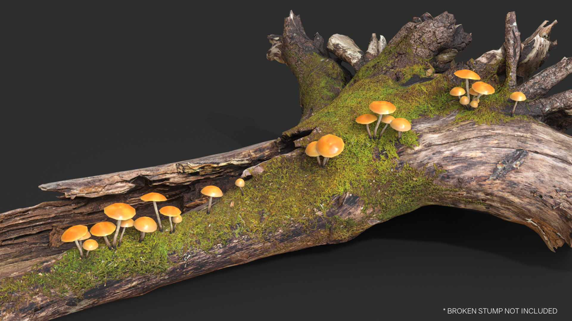 Funeral Bell Mushrooms Set Low-poly 3D model_9