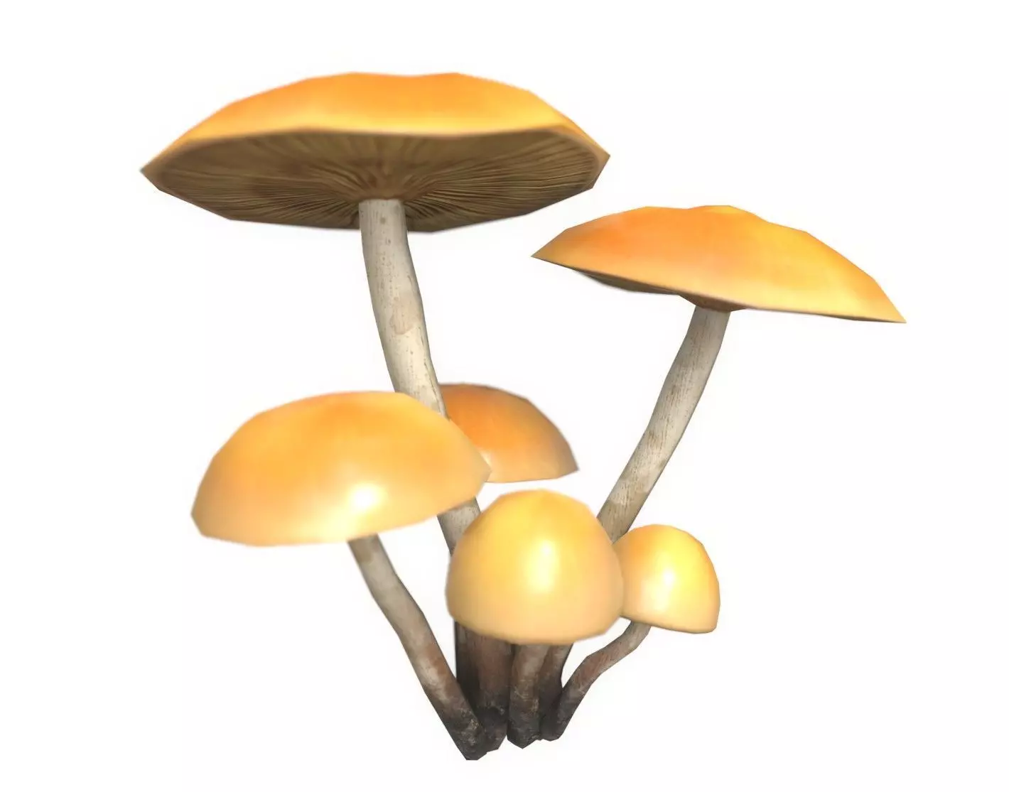 Funeral Bell Mushrooms Set Low-poly 3D model_0