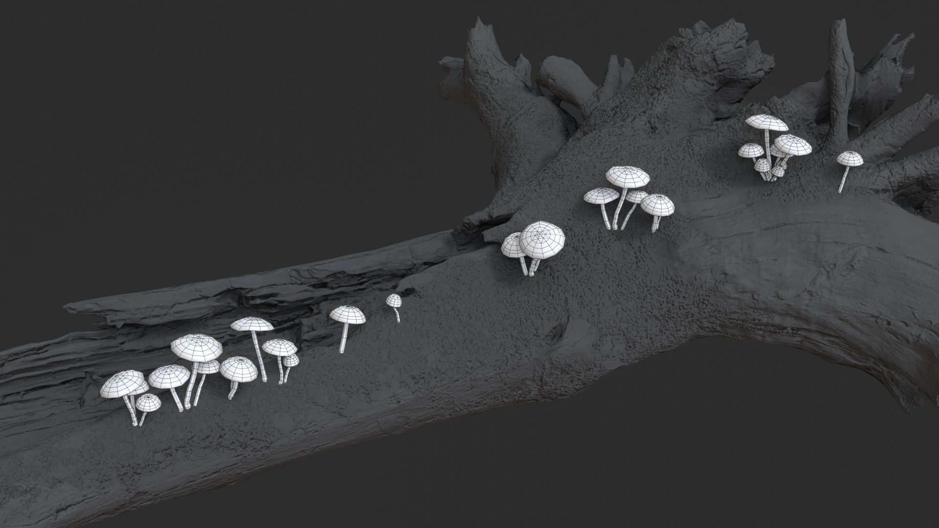 Funeral Bell Mushrooms Set Low-poly 3D model_16