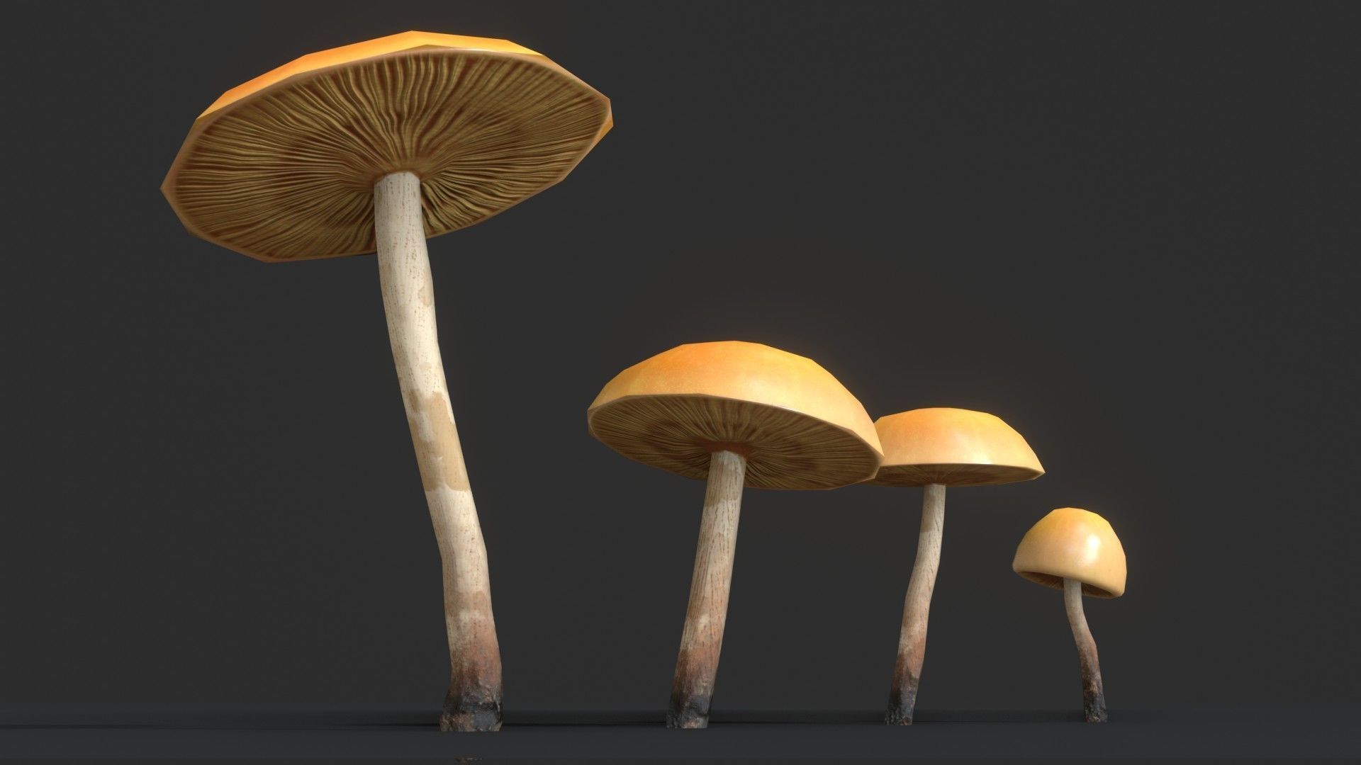 Funeral Bell Mushrooms Set Low-poly 3D model_6