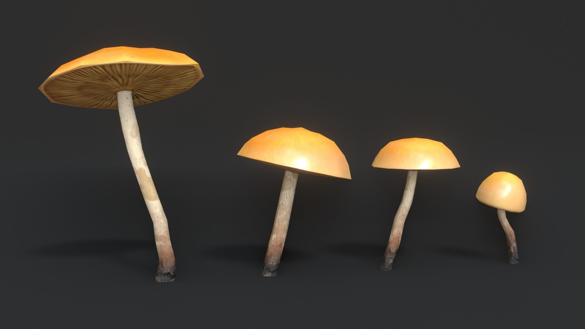 Funeral Bell Mushrooms Set Low-poly 3D model_2