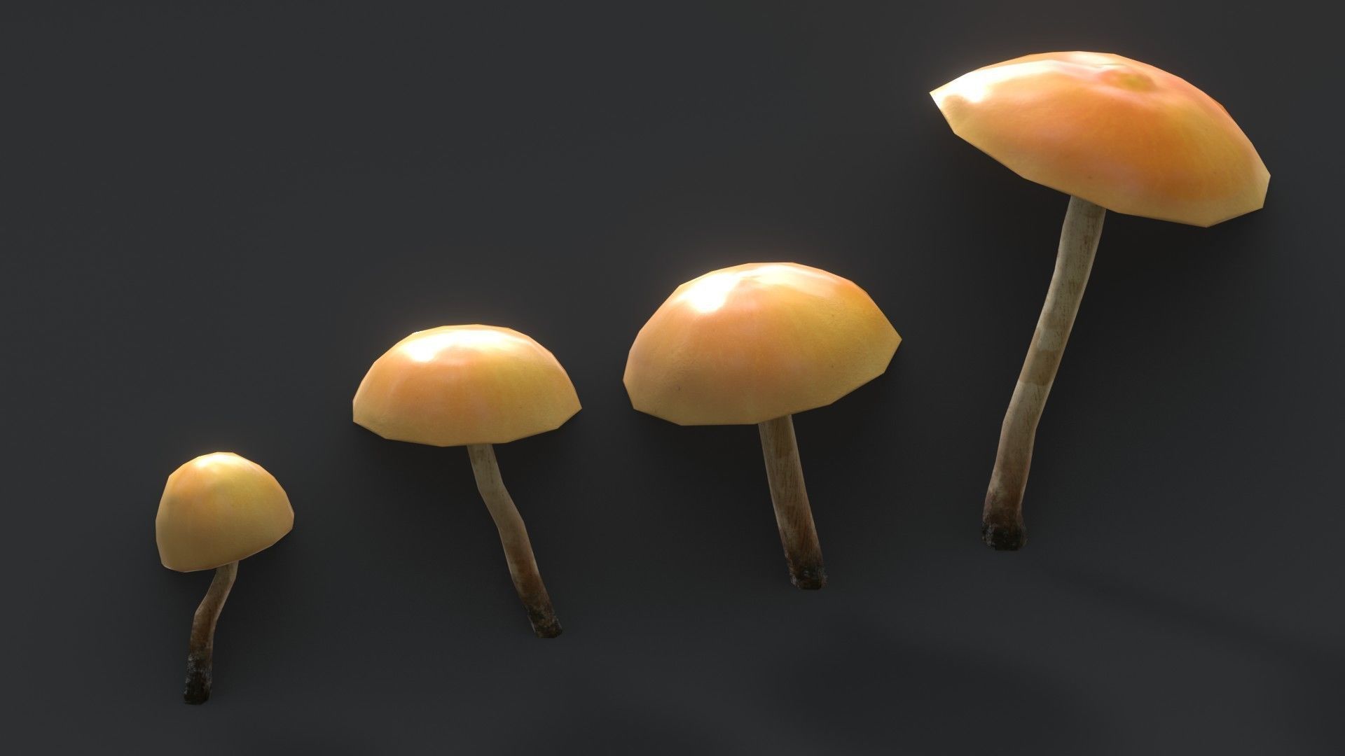 Funeral Bell Mushrooms Set Low-poly 3D model_4