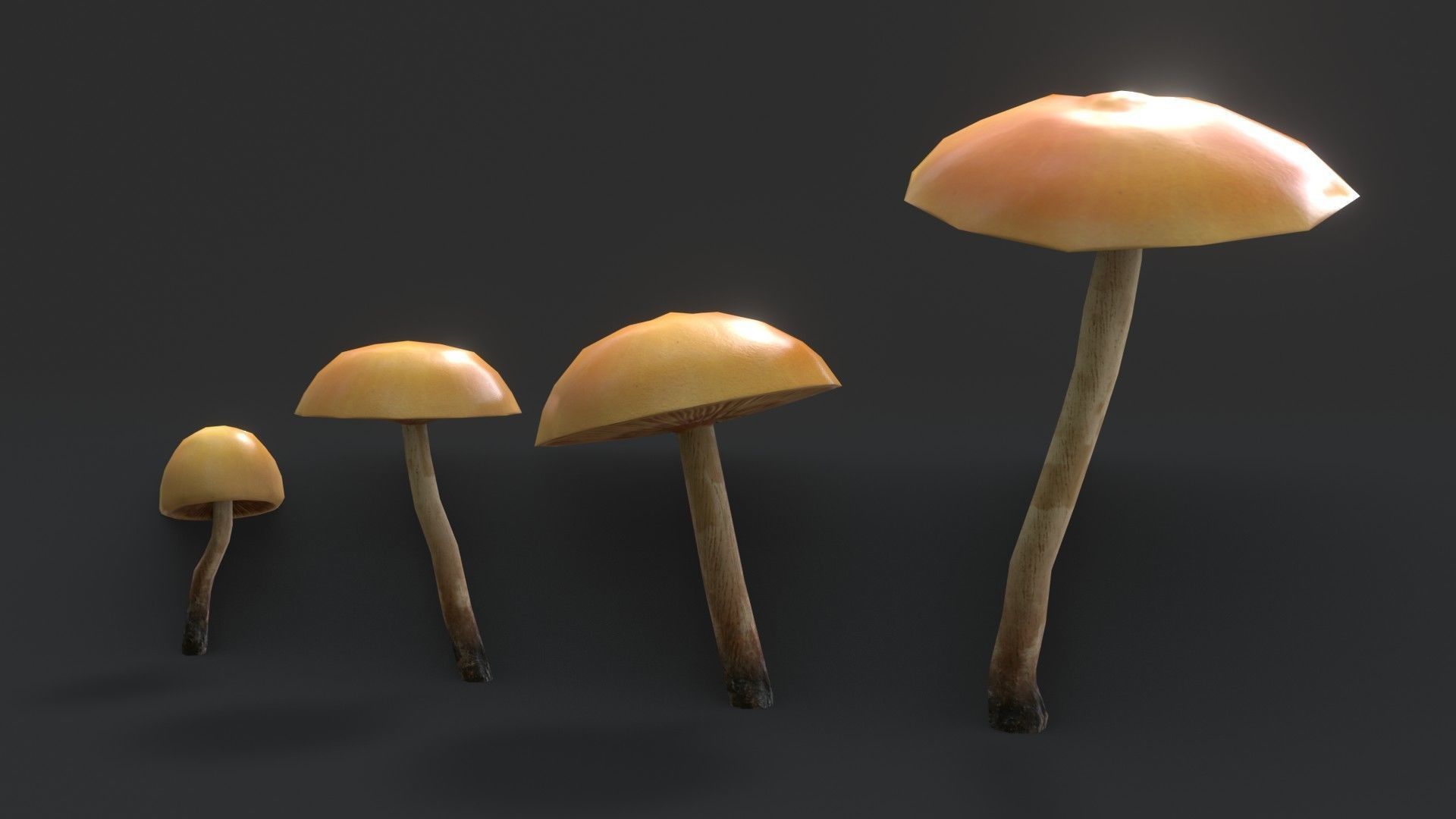 Funeral Bell Mushrooms Set Low-poly 3D model_5