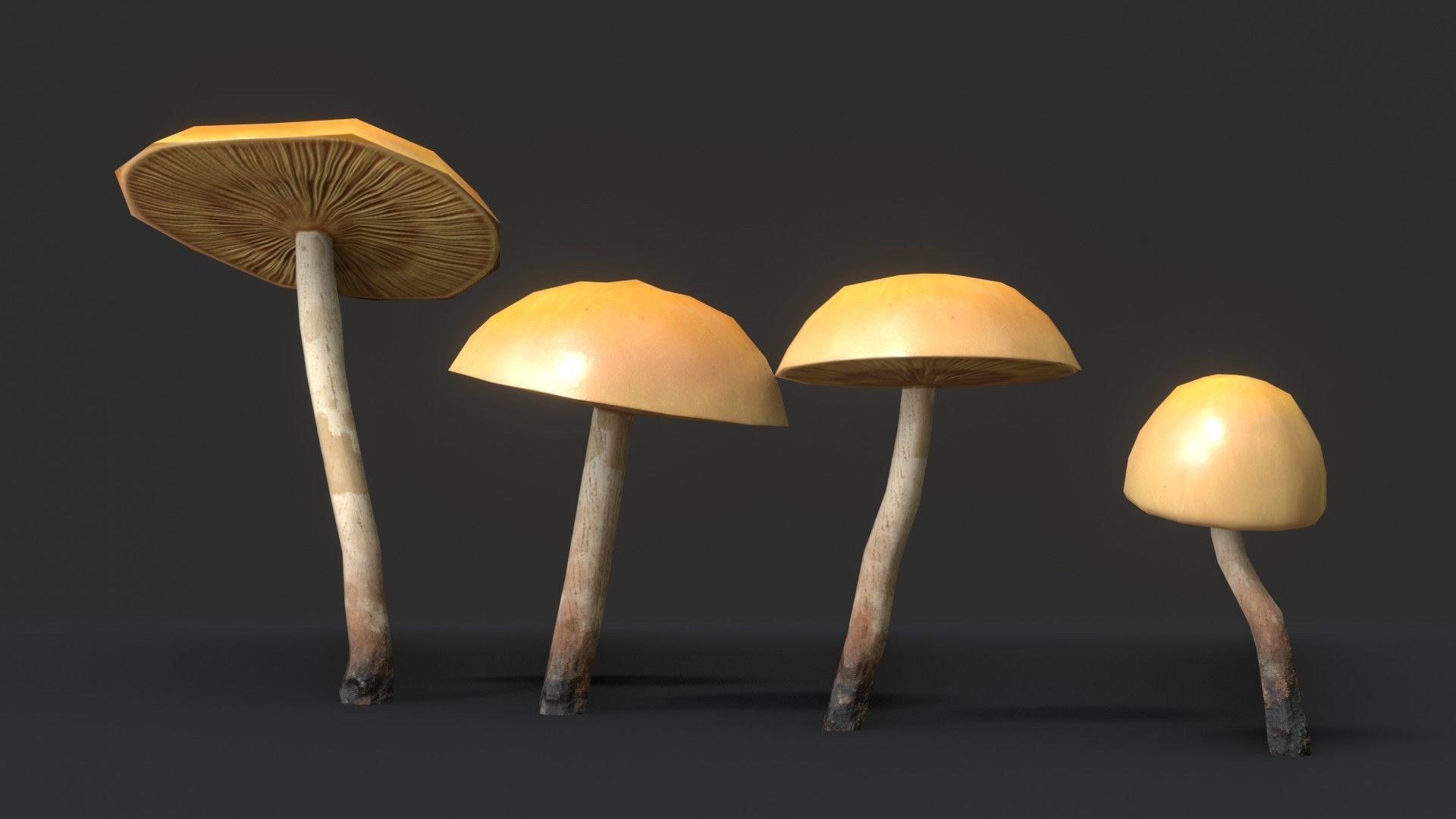 Funeral Bell Mushrooms Set Low-poly 3D model_3