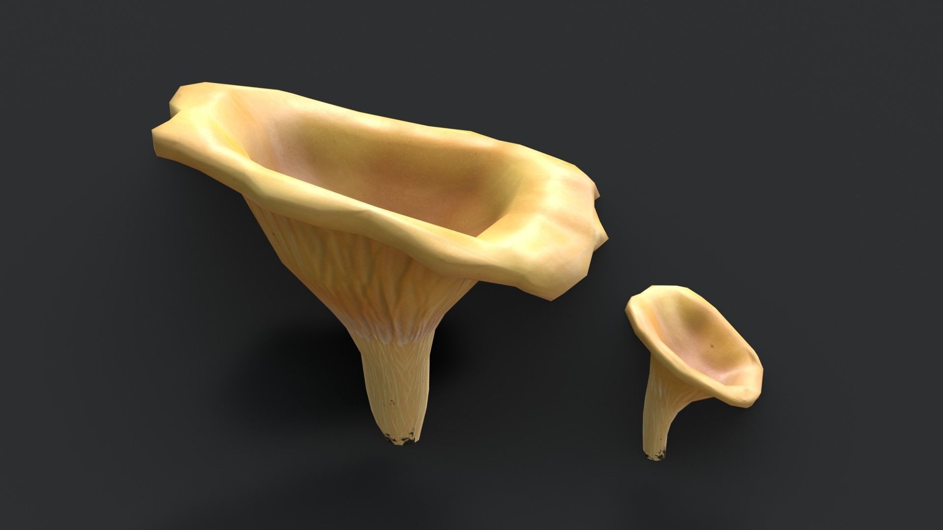 Golden Chanterelle Mushroom Set Low-poly 3D model_5