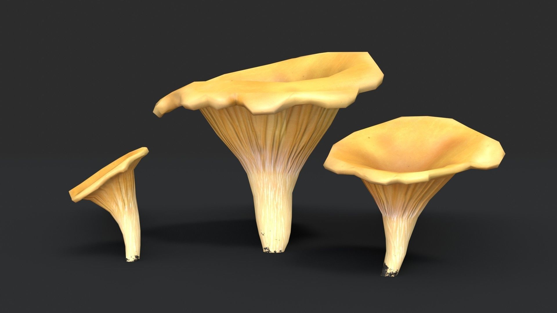 Golden Chanterelle Mushroom Set Low-poly 3D model_3
