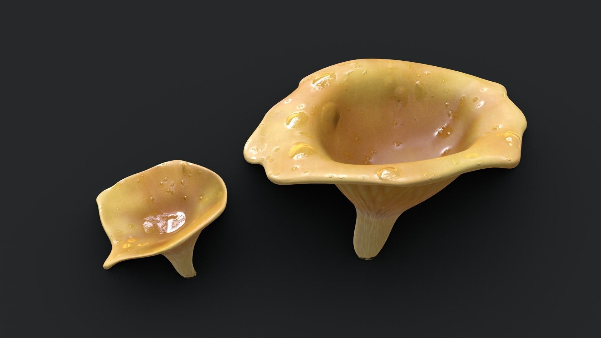 Golden Chanterelle Mushroom Set Low-poly 3D model_7