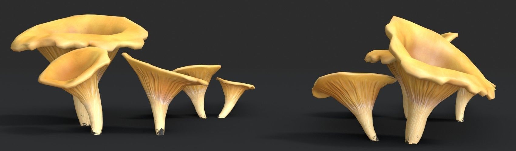Golden Chanterelle Mushroom Set Low-poly 3D model_1