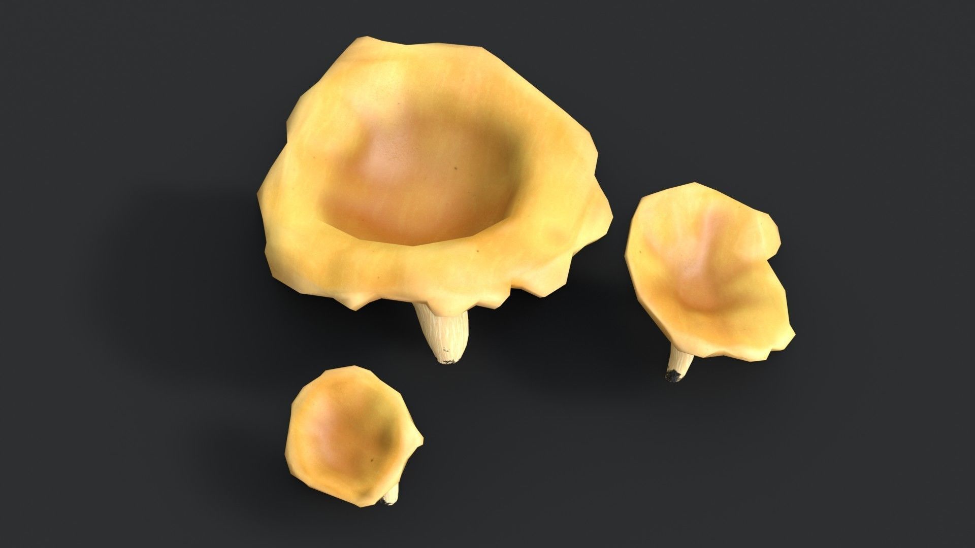 Golden Chanterelle Mushroom Set Low-poly 3D model_6