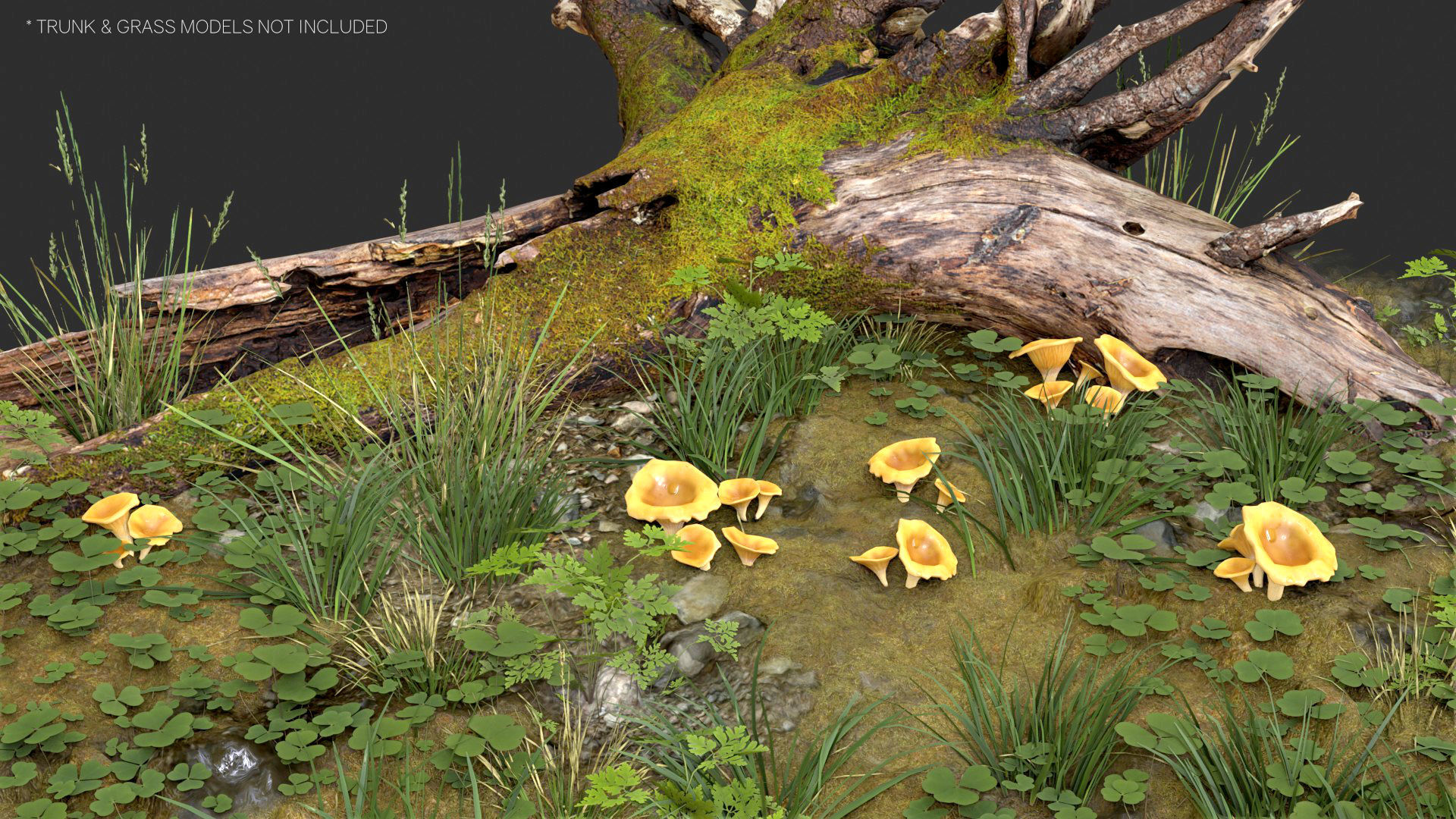 Golden Chanterelle Mushroom Set Low-poly 3D model_9