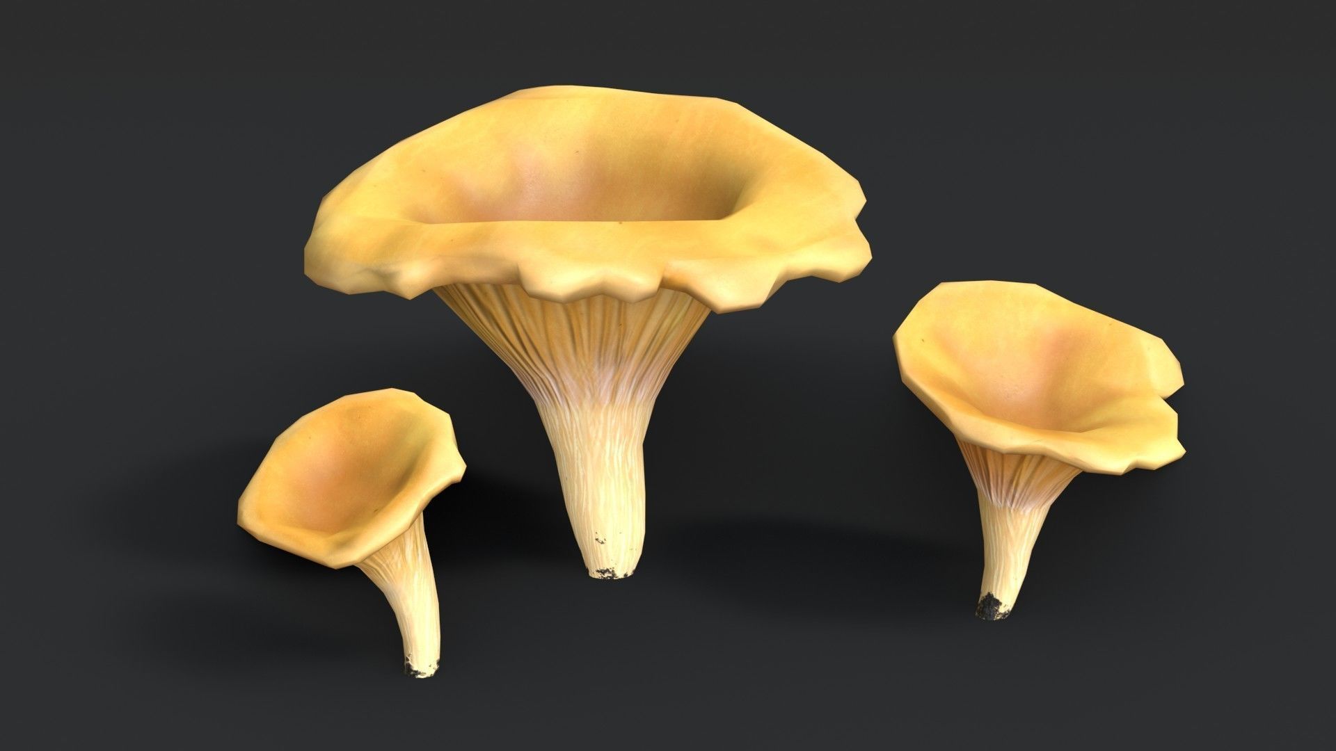 Golden Chanterelle Mushroom Set Low-poly 3D model_2