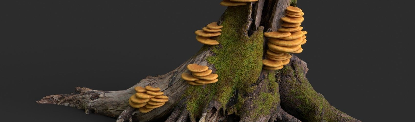 Crab-of-the-woods Mushrooms Set Low-poly 3D model_1