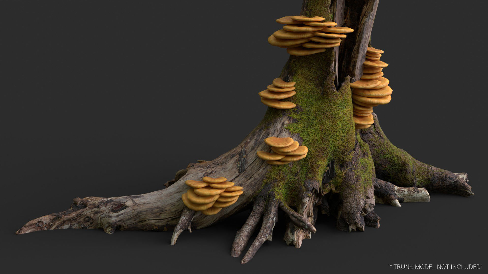 Crab-of-the-woods Mushrooms Set Low-poly 3D model_8