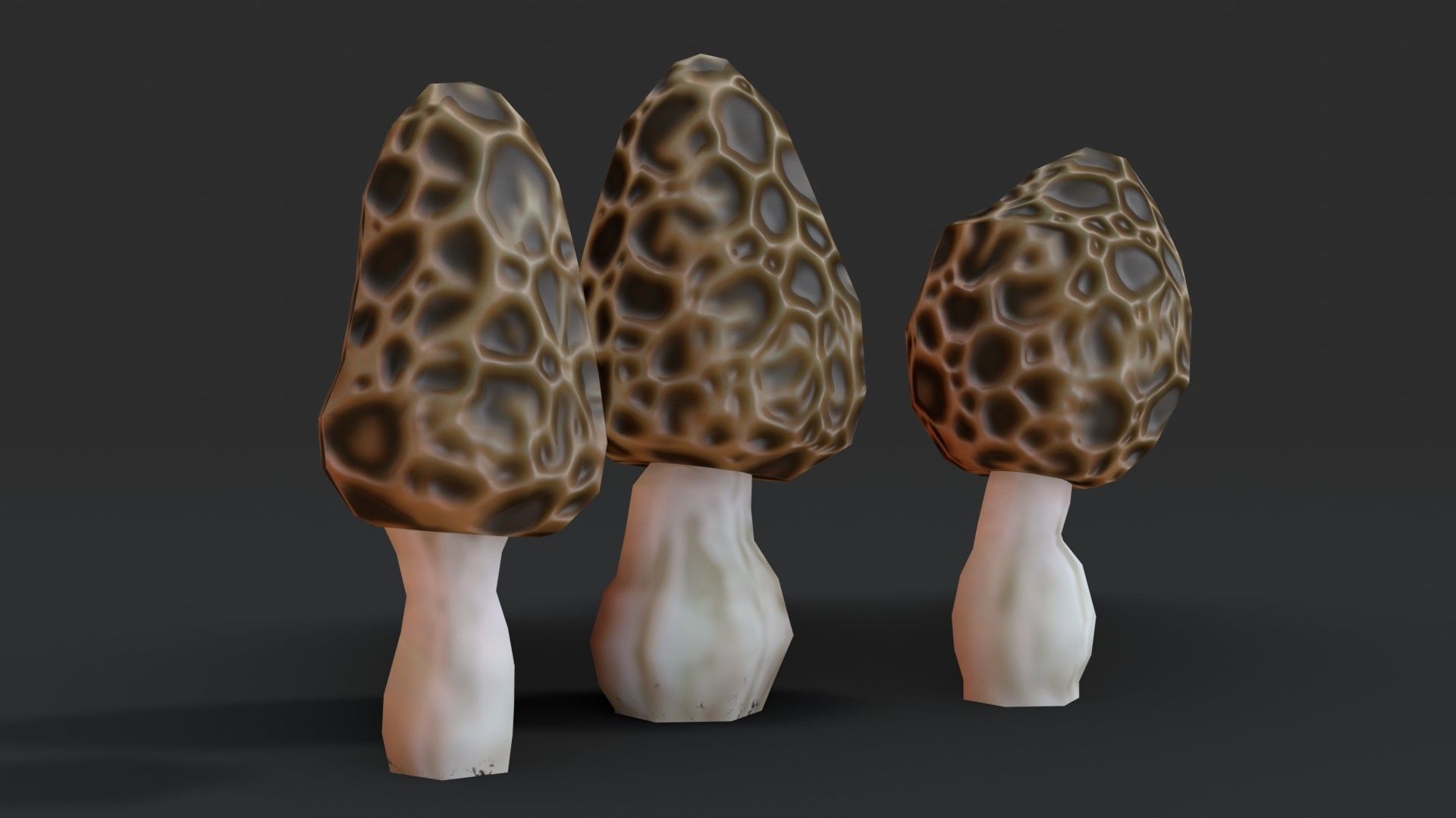 Morel Mushroom Set Low-poly 3D model_4