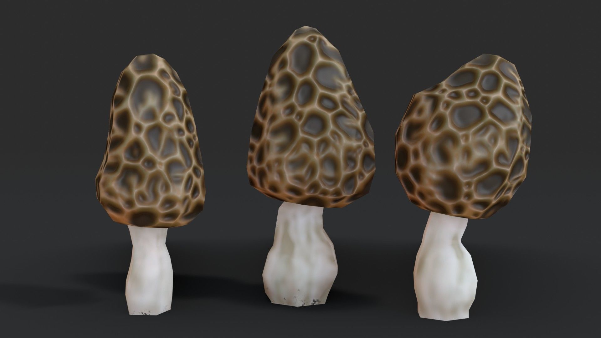 Morel Mushroom Set Low-poly 3D model_3