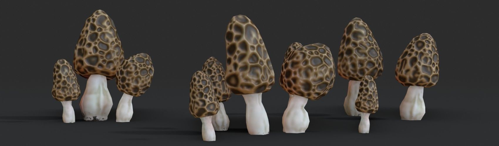 Morel Mushroom Set Low-poly 3D model_1