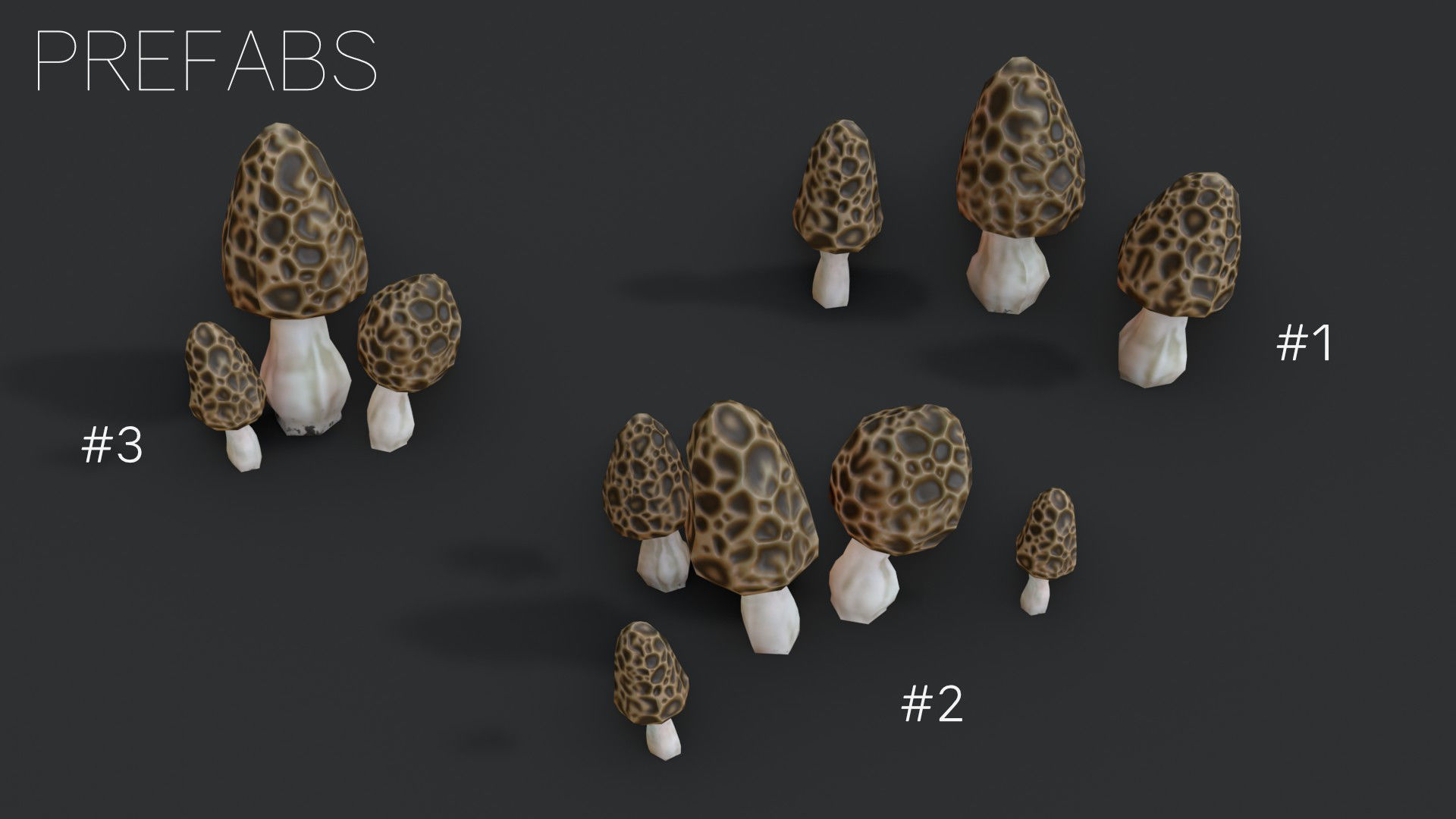 Morel Mushroom Set Low-poly 3D model_10