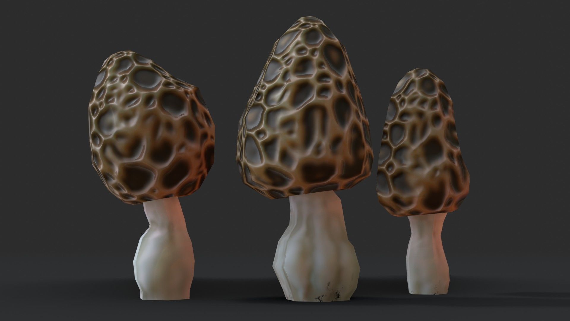 Morel Mushroom Set Low-poly 3D model_6