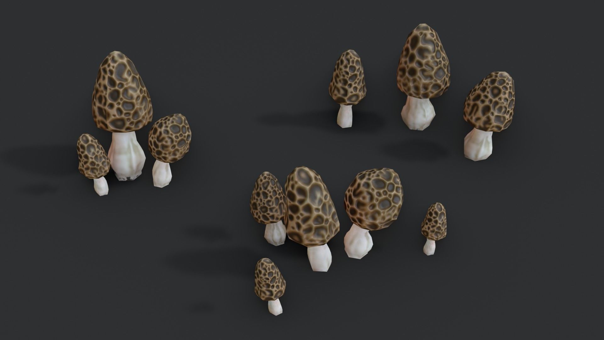 Morel Mushroom Set Low-poly 3D model_9
